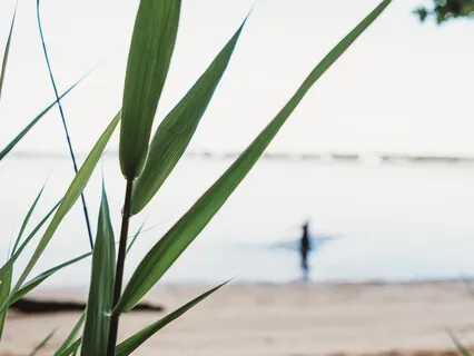 Gratitude Break For The Body