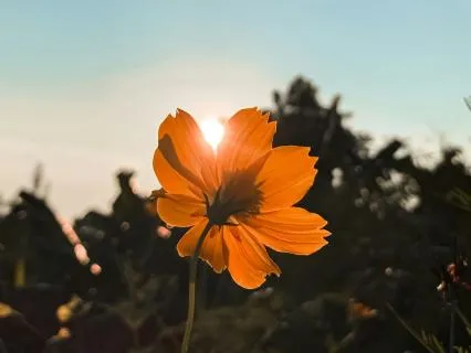 Gratitude Breathing For Immediate Relief