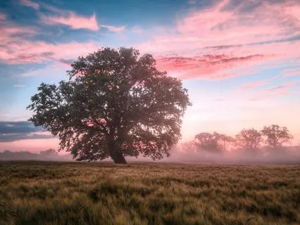 Gratitude Breathing For Nervous System Relief