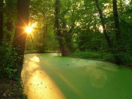 Gratitude Calm: Music For Mindful Relaxation