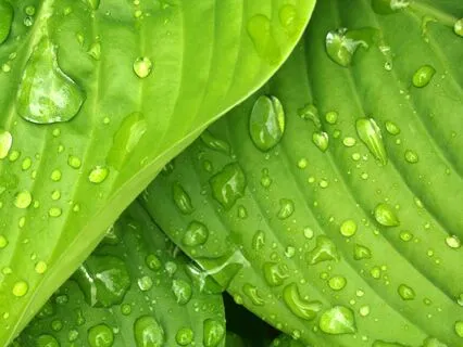 Gratitude Challenge - Day 10