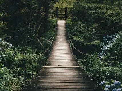 Gratitude Challenge - Day 7