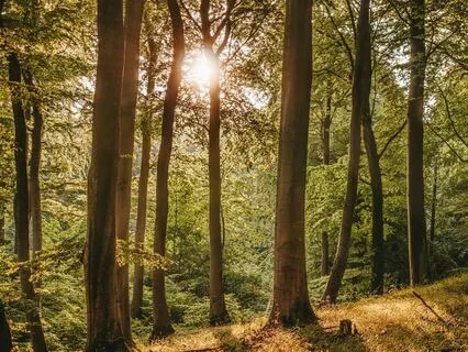 Gratitude Challenge - Day 8