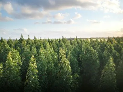 Gratitude Challenge - Day 9