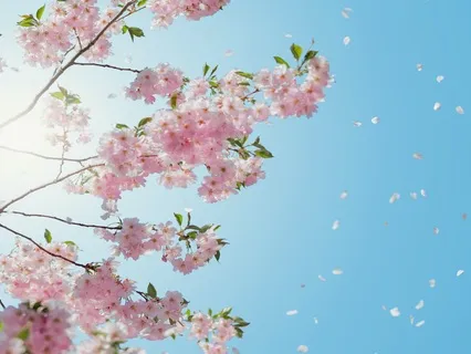 Gratitude - Creating Abundance