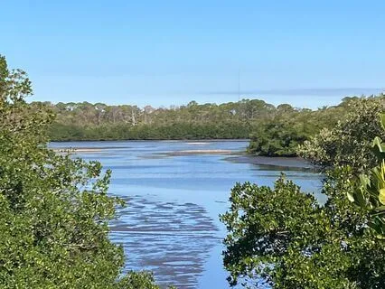 Gratitude: Five Tiny Things