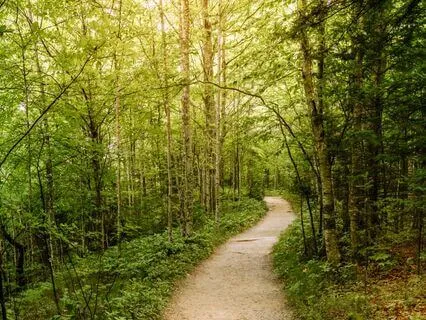 Gratitude Flow: Elevate Your Mood Instantly