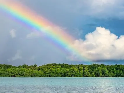 Gratitude For A New Day