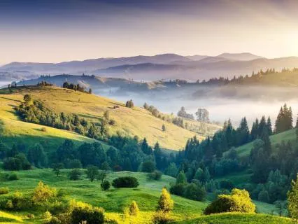 Gratitude For A Positive Day | Morning Meditation