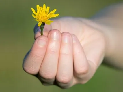 Gratitude pour les Bienfaits