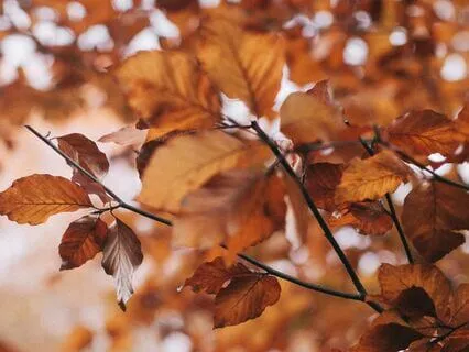 Gratitude For Doing The Basics