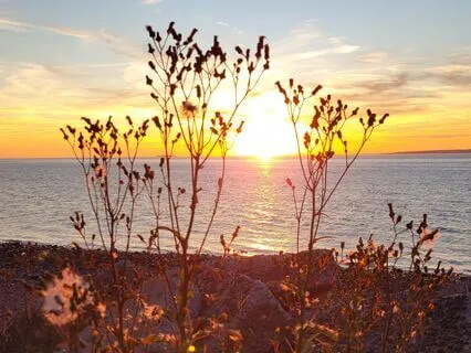 Gratitude For Everything