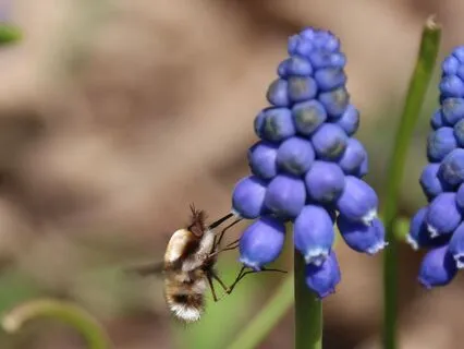 Gratitude For Food: A Guided Reflection