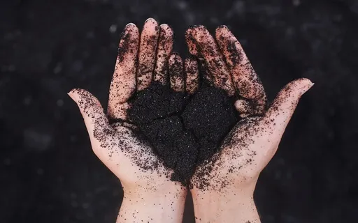 Gratitude For Our Body