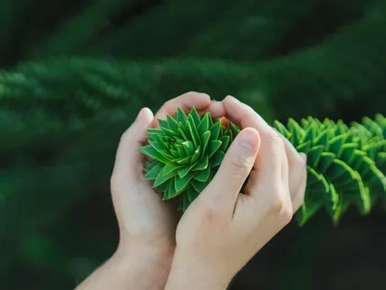 Gratitude For Our Earth