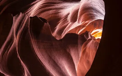 Gratitude for Our Life