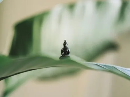 Gratitude For Our Work