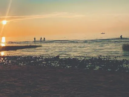 Gratitude For Ourselves And Others