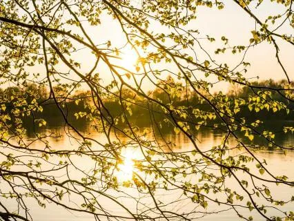 Calm During Stressful Or Uncertain Times