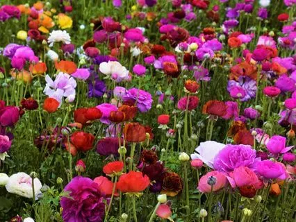 Gratitude For The Beauty Beneath Our Feet