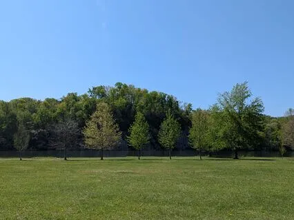 Gratitude For The Earth