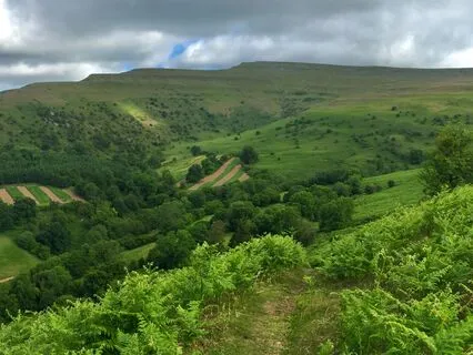 Gratitude For The Hard Of Journaling