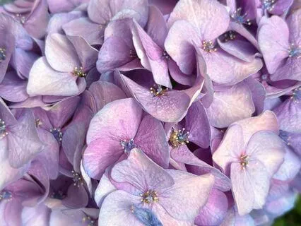 Gratitude For The Little Things