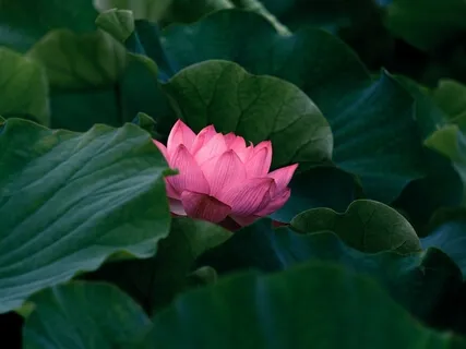 Gratitude For The Sacrifice Of Others