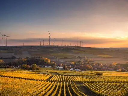 Gratitude For The Sacrifices That Nourish Us