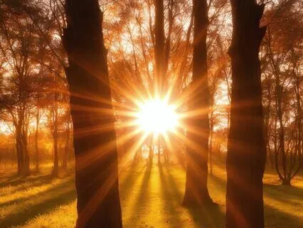 Gratitude For The Sun