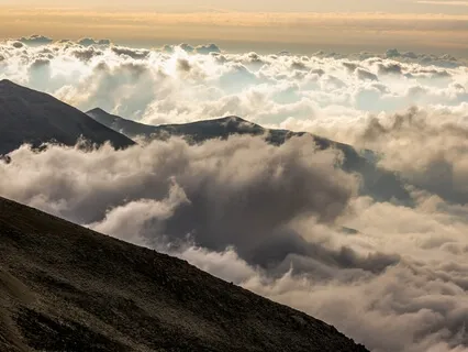 Gratitude For The Whole Self 