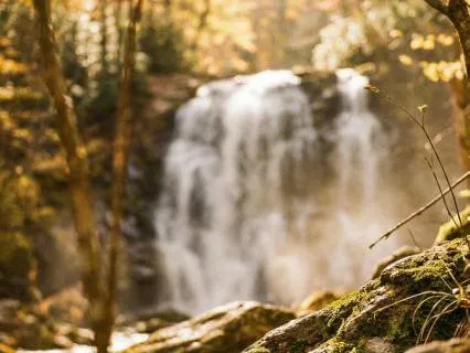 Gratitude For Water - Feel Happy, Relaxed & Sleep Well