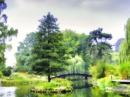 Gratitude For When You Have Attitude