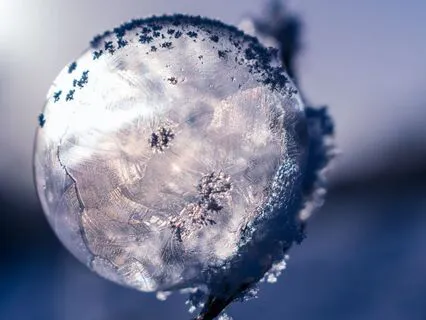 Gratitude For Winter Solstice