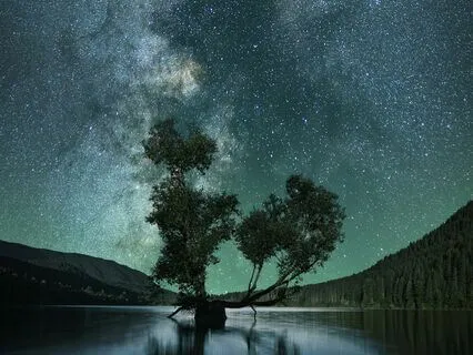 Gratitude For You & Beyond