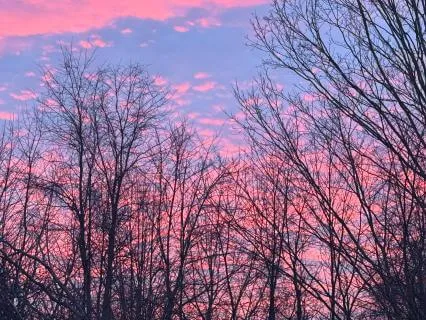 Gratitude For Your Authentic Self