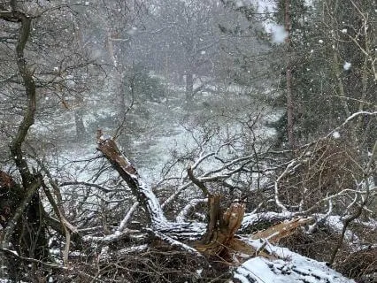 Gratitude For Your Body: A Gentle Evening Thank You