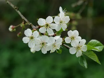 Gratitude - From Thought To Action