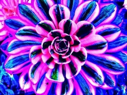 Gratitude, Generosity, And Prosperity