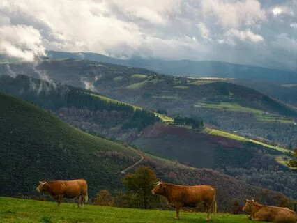 Gratitude Grace: Calm And Centered