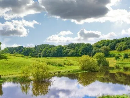 Gratitude Groove: Reduce Stress With Thankfulness