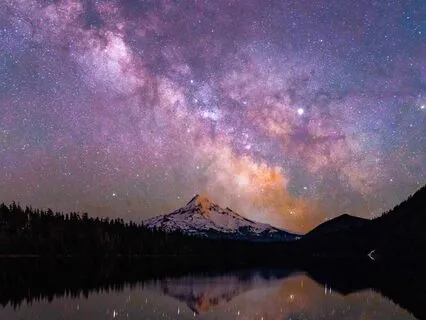 Gratitude Grove - Melody Of Thanks