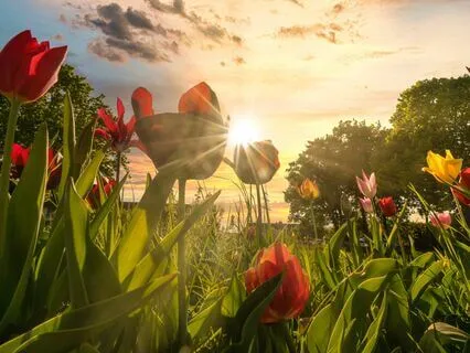 Gratitude Harmony: Soothe Your Anxiety