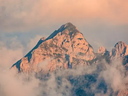 Gratitude Healing Harmony