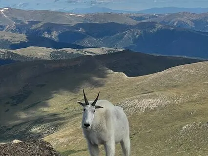 Gratitude In 5 Minutes Or Less: Manifesting With Gratitude