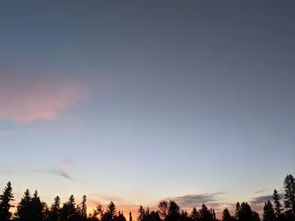 Gratitude In Breath, Mind, And Outer Sensations