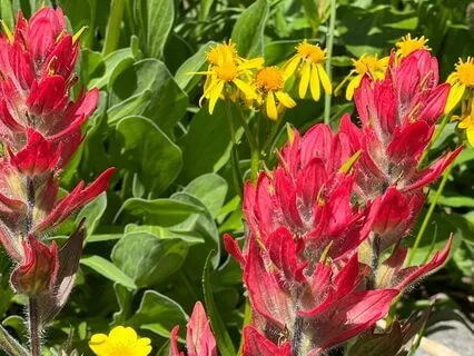 Gratitude In Five Minutes Or Less: Authenticity