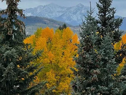 Gratitude In Five Minutes Or Less: Your Strengths