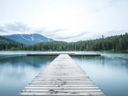 Gratitude In Isolation 2.0