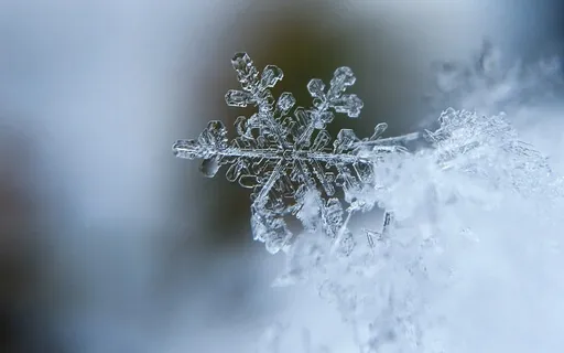 Gratitude In Me This Christmas